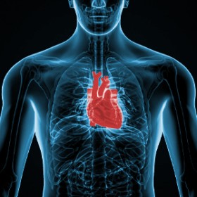 miocardio